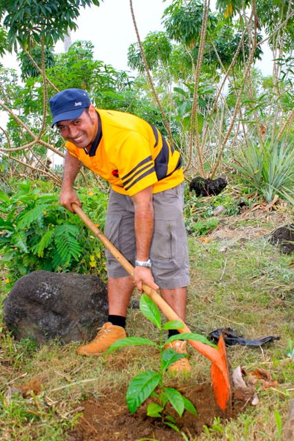 PLANT A TREE: Women in Business Development project offi cer Peni Samuelu plants the fi rst tree of the “Offset Islands 2014” campaign, which looks to offset carbon emissions generated by the Third International Conference of Small Island Developing States.