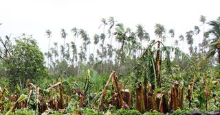 Samoa's farmers will need support