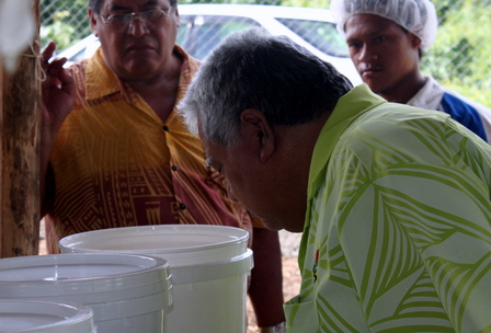 Samoa organic committee take to the field