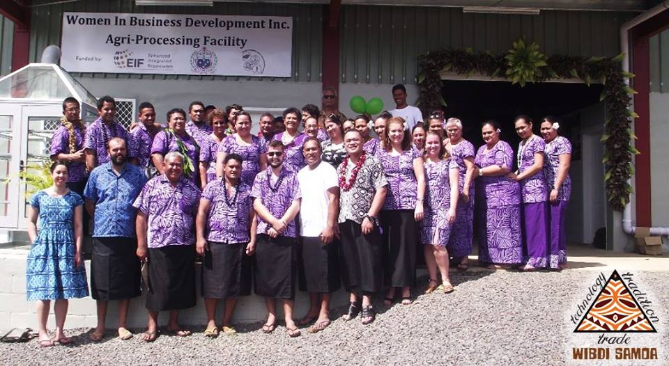 Celebrating a Milestone for Women In Business Development Incorporated – WIBDI 